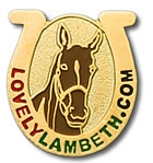 Purchase a LUCY Horse Lottery Charm